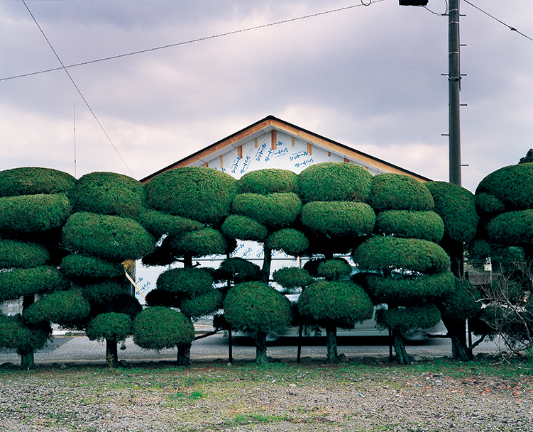 Kunisaki Peninsula NAOKI ISHIKAWA