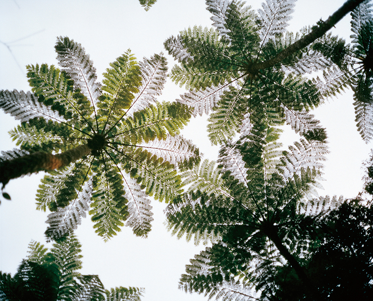 Ryusei no Shima Works NAOKI ISHIKAWA WEB SITE